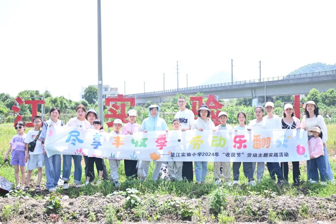 【劳动教育】土豆你好——鳌江实验小学2024年“收获节”挖土豆劳动主题实践活动 第24张