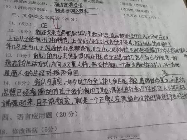 中考试卷扫描后啥样?评卷误差咋回事? 第20张