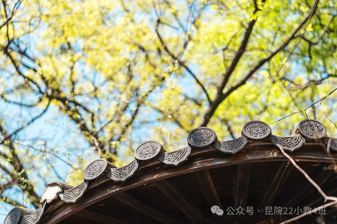 昆明学院教师教育学院小学教育专业2022级4班教育见习(二)活动简报 第26张