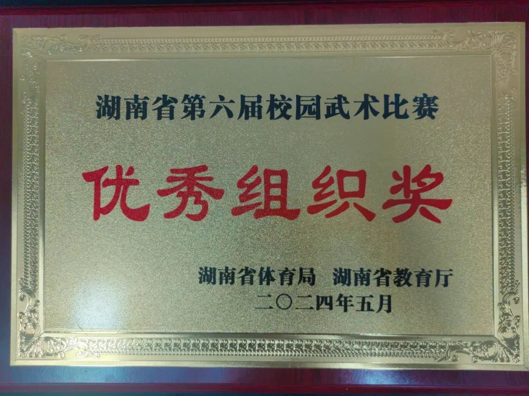 【喜报】热烈祝贺长沙县松雅湖第二小学在湖南省第六届校园武术比赛中喜获佳绩 第6张