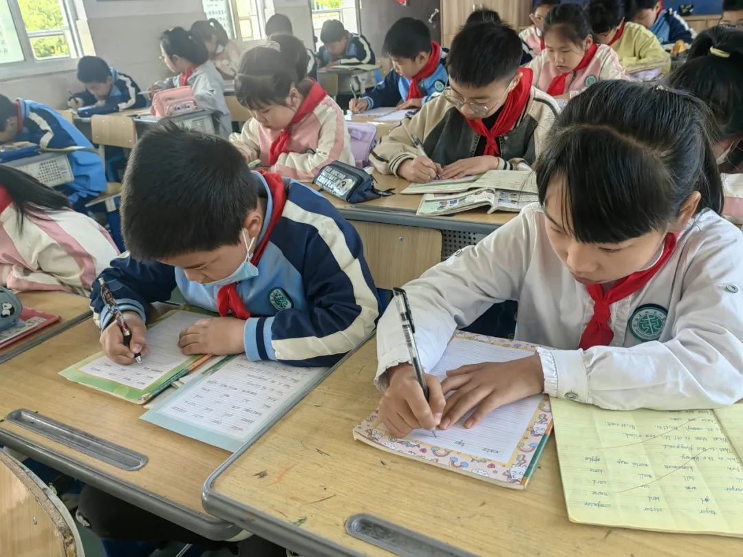 启明城东|城东小学举行三至六年级英语书写比赛 第19张