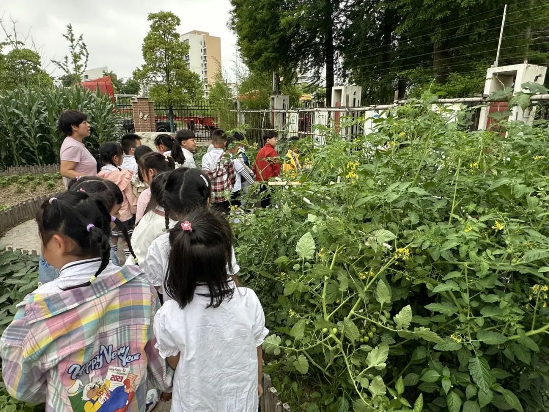 【靖海之星教育集团】【幼儿成长】走进小学,初探成长——彭镇幼儿园大班组参观小学活动 第54张