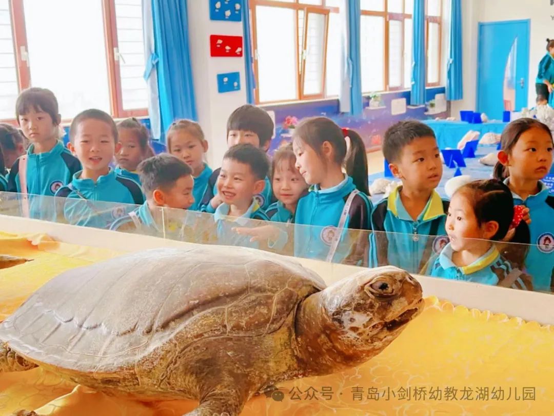 初探小学,礼遇成长——龙幼宝贝走进小学,赴一场成长之约 第28张