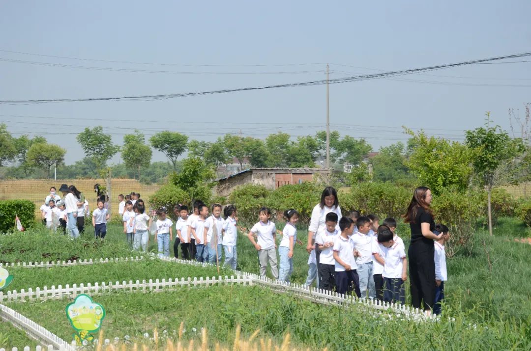 小幼共研话衔接  双向奔赴促成长——汪群小学、汪群幼儿园联合开展小幼衔接暨小幼课程研讨活动 第21张