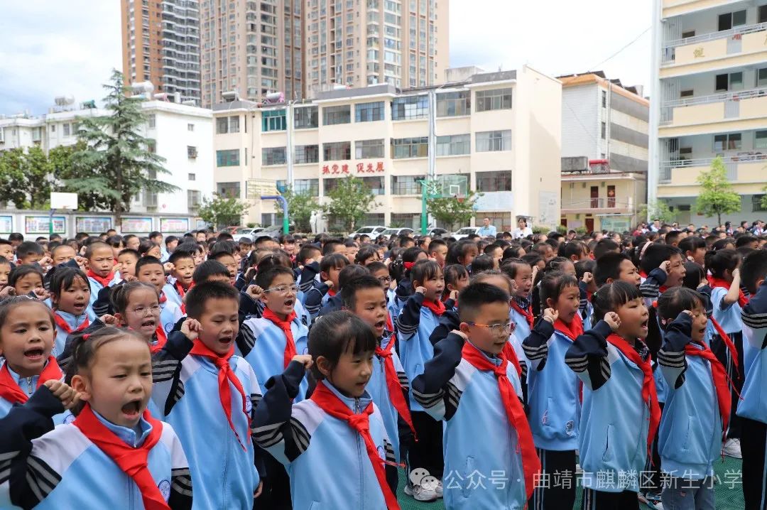 筑梦红领巾  争做好队员——麒麟区新生小学2024年新队员入队仪式 第8张