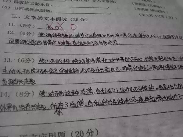 中考试卷扫描后啥样?评卷误差咋回事? 第21张