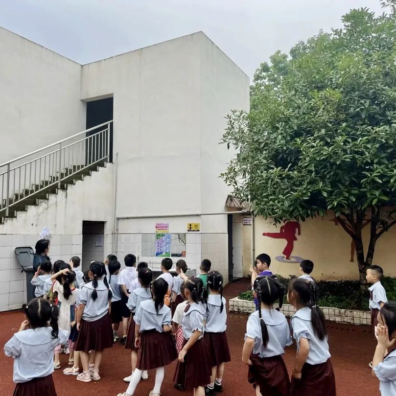 礼遇小学 筑梦成长——幼小衔接参观小学活动 第35张