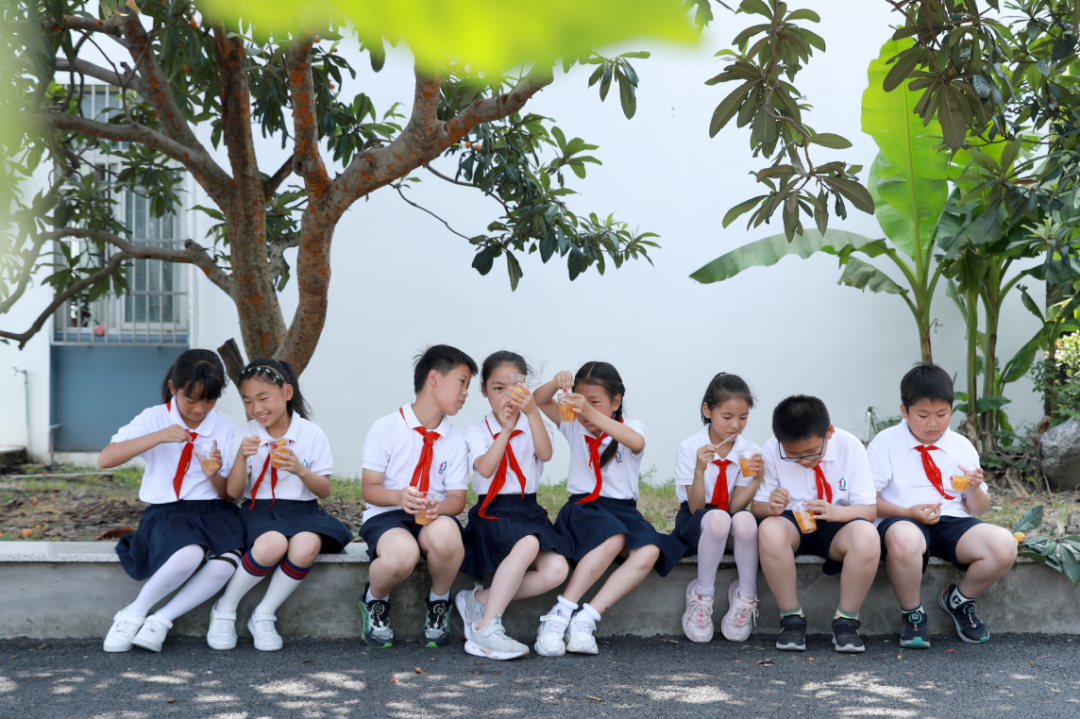 “巧手酿清甜,枇杷享清韵”——塘南小学李家桥校区枇杷节系列实践活动:枇杷罐头制作 第18张