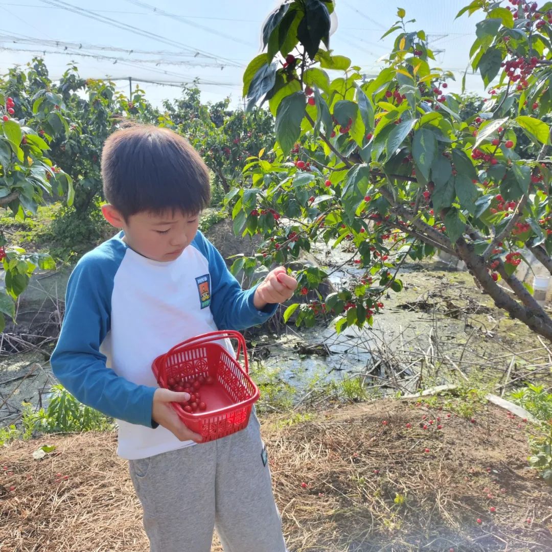 劳动是一切幸福的源泉 ——北二小学2024第四届劳动周劳动作品展示 第66张