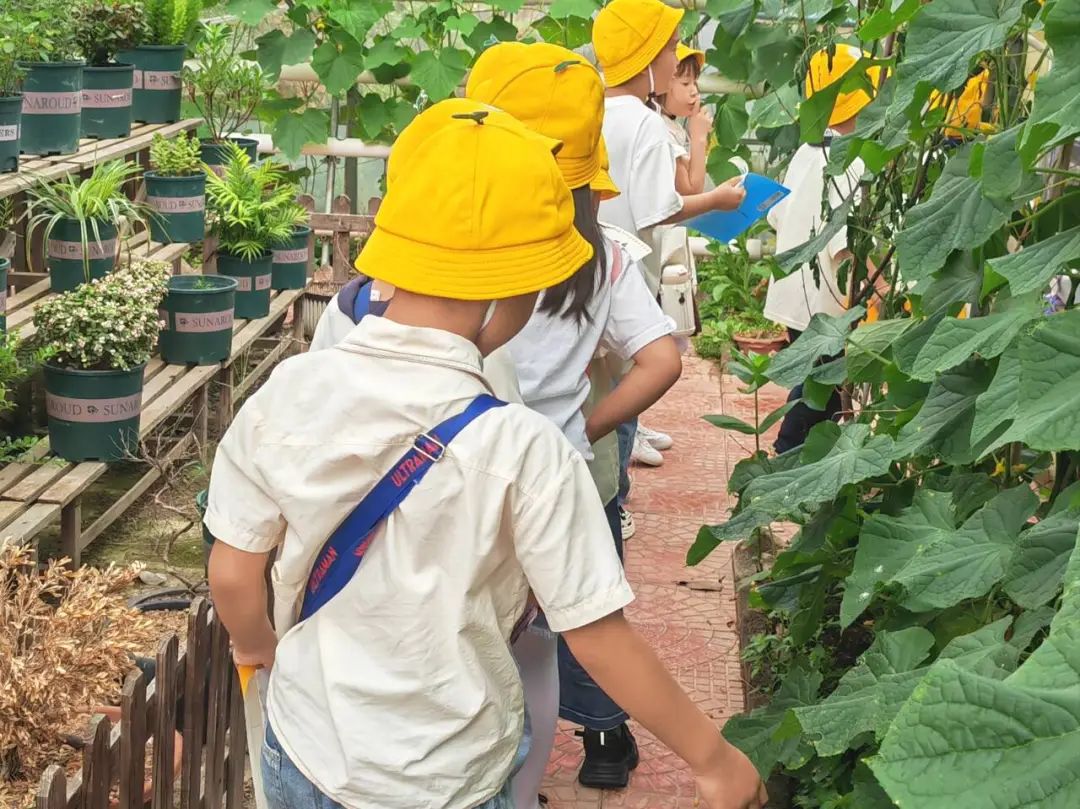 【时光长廊】 “趣”探小学, “幼”见成长 | 记泰顺县三魁镇第二幼儿园2023学年第二学期大班参观小学活动 第50张