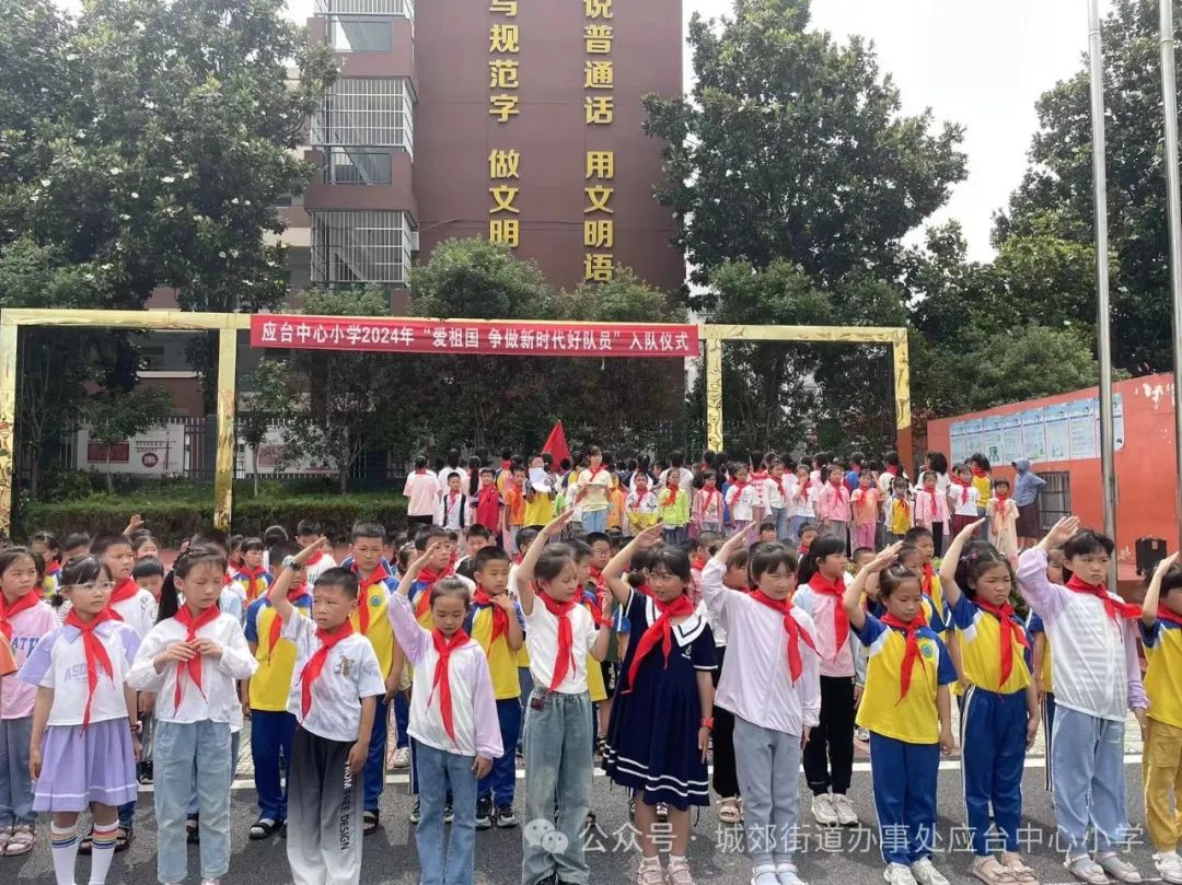 城郊应台小学:红领巾添彩,新队员入队 第10张