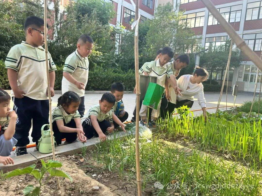 【小学初体验,衔接共成长】王瓜店街道第二中心幼儿园开展“守护育幼底线,成就美好童年”幼小衔接活动 第96张