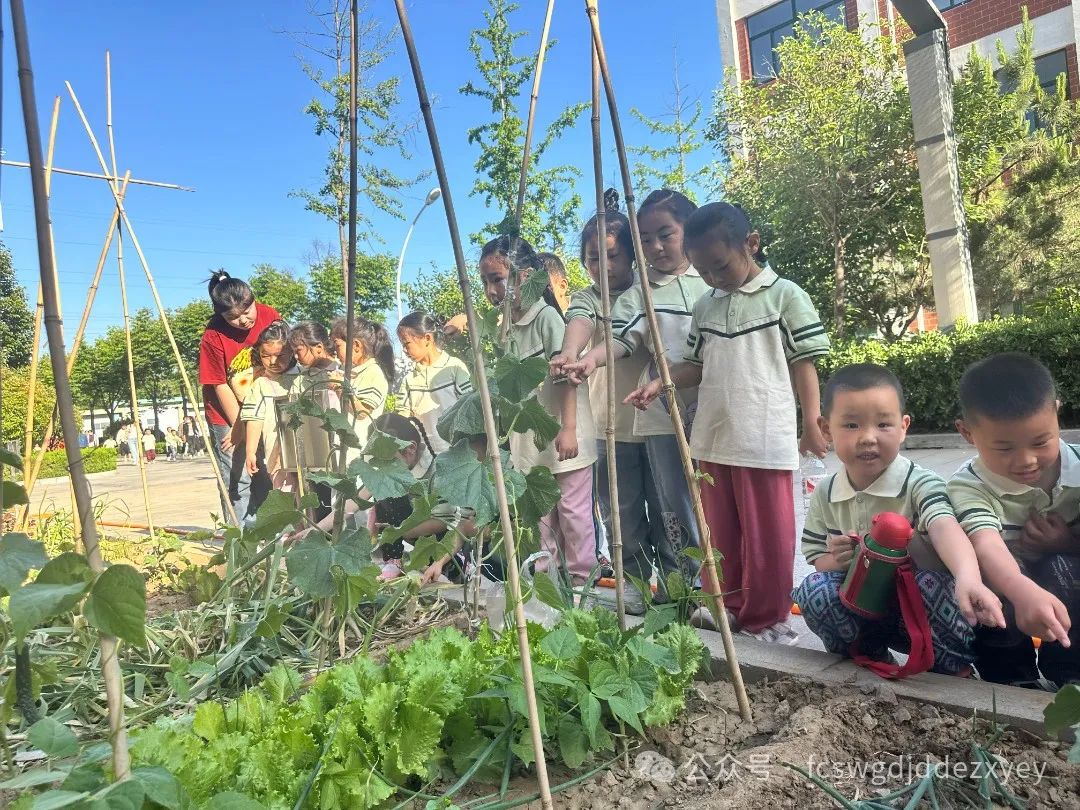 【小学初体验,衔接共成长】王瓜店街道第二中心幼儿园开展“守护育幼底线,成就美好童年”幼小衔接活动 第95张