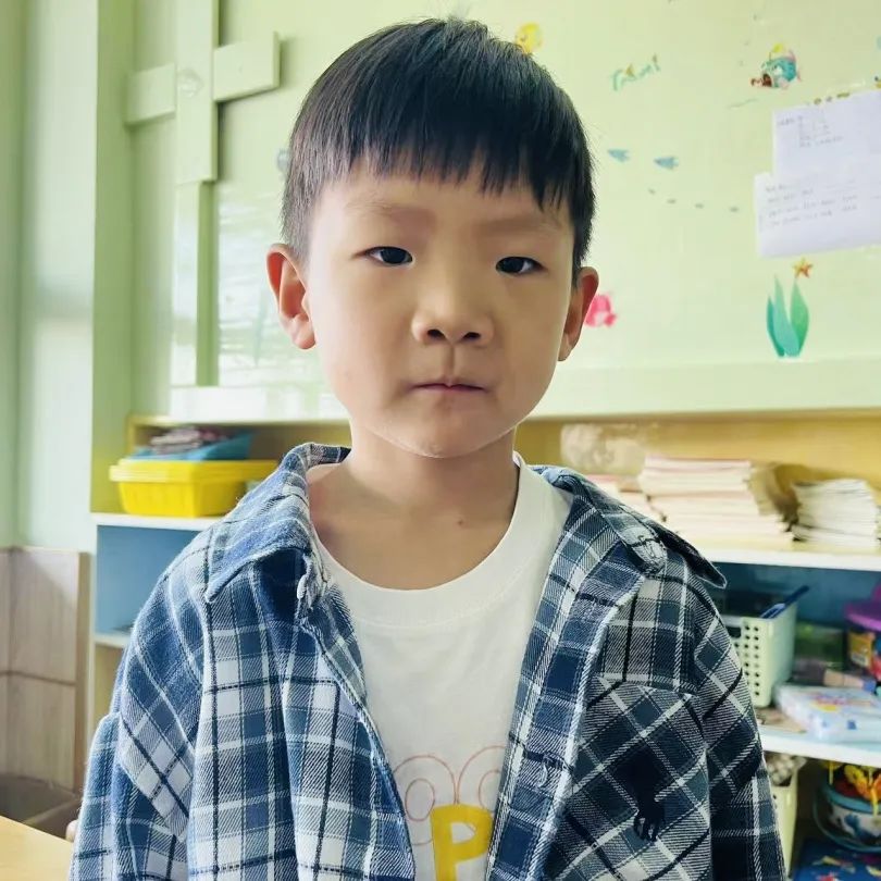 嗨,小学|晨燕幼儿园 第5张