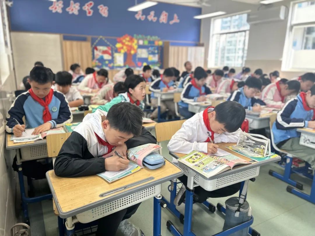 启明城东|城东小学举行三至六年级英语书写比赛 第20张