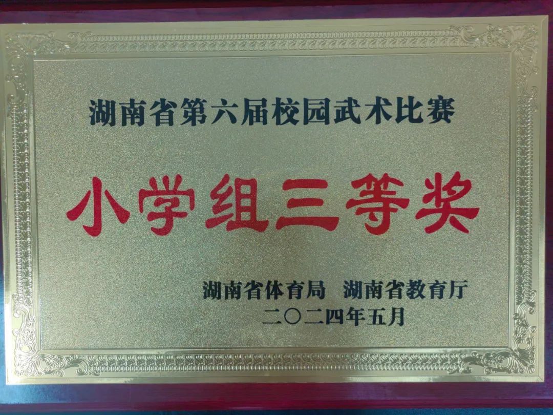 【喜报】热烈祝贺长沙县松雅湖第二小学在湖南省第六届校园武术比赛中喜获佳绩 第5张