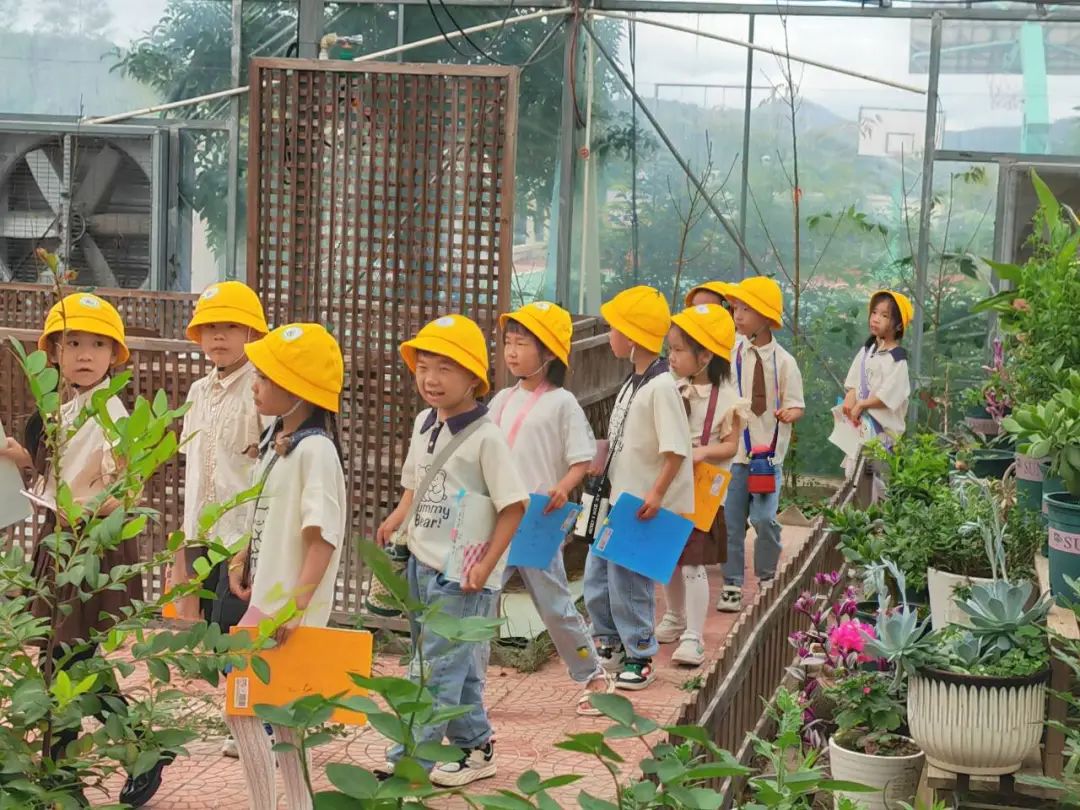 【时光长廊】 “趣”探小学, “幼”见成长 | 记泰顺县三魁镇第二幼儿园2023学年第二学期大班参观小学活动 第56张