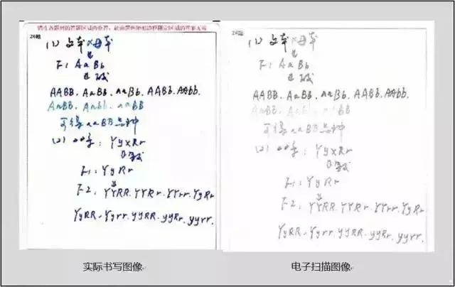 中考试卷扫描后啥样?评卷误差咋回事? 第2张