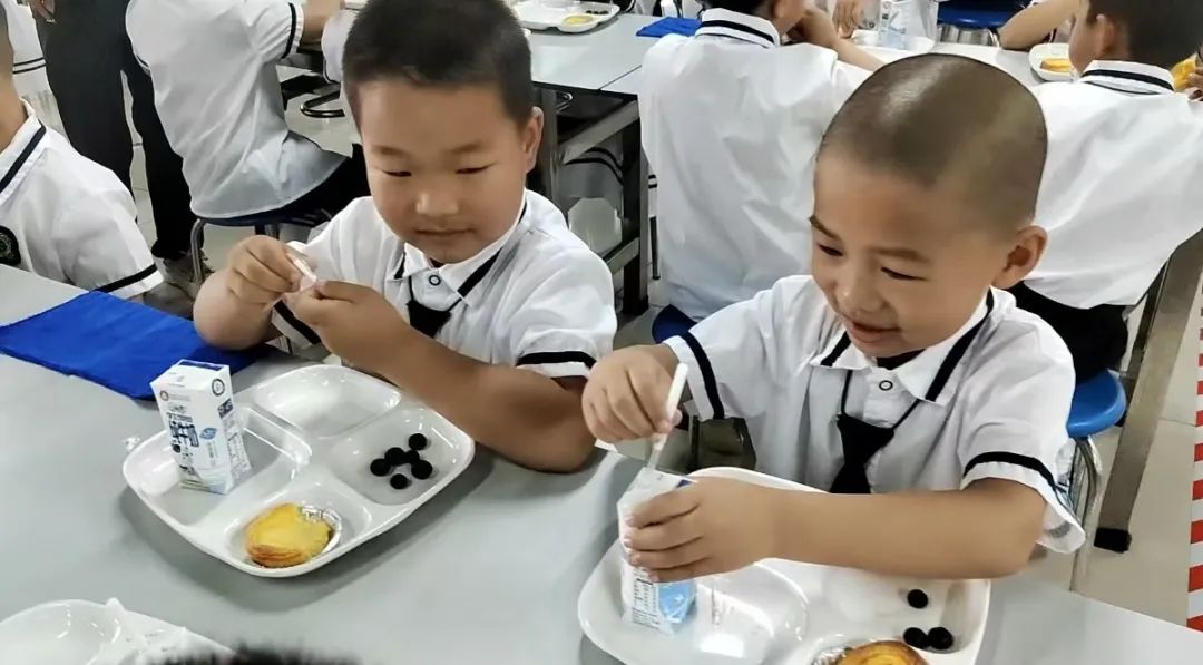 初探小学 礼遇成长--凯歌幼儿园幼小衔接活动之参观小学 第49张