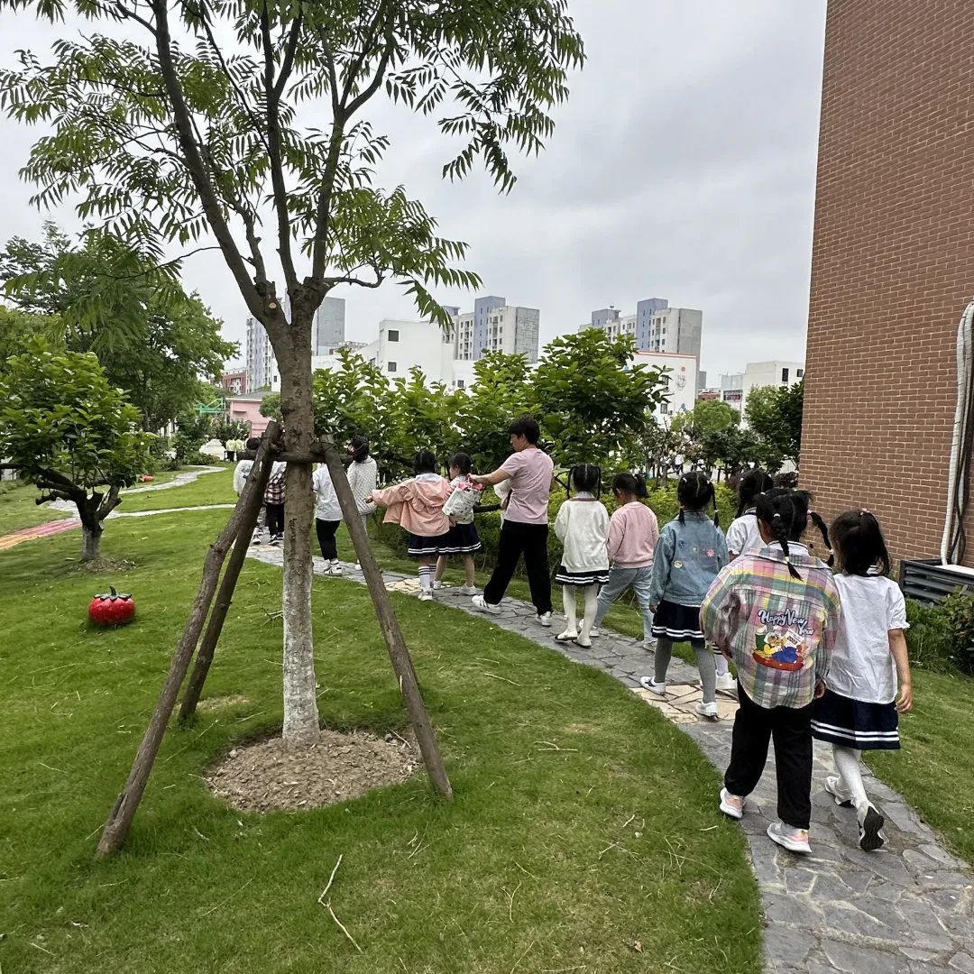 【靖海之星教育集团】【幼儿成长】走进小学,初探成长——彭镇幼儿园大班组参观小学活动 第52张