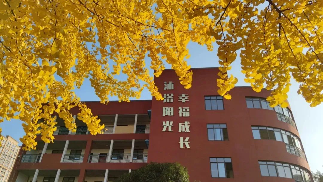 公办初中|小学教师|教科院附中天府一街学校储备教师公告 第5张