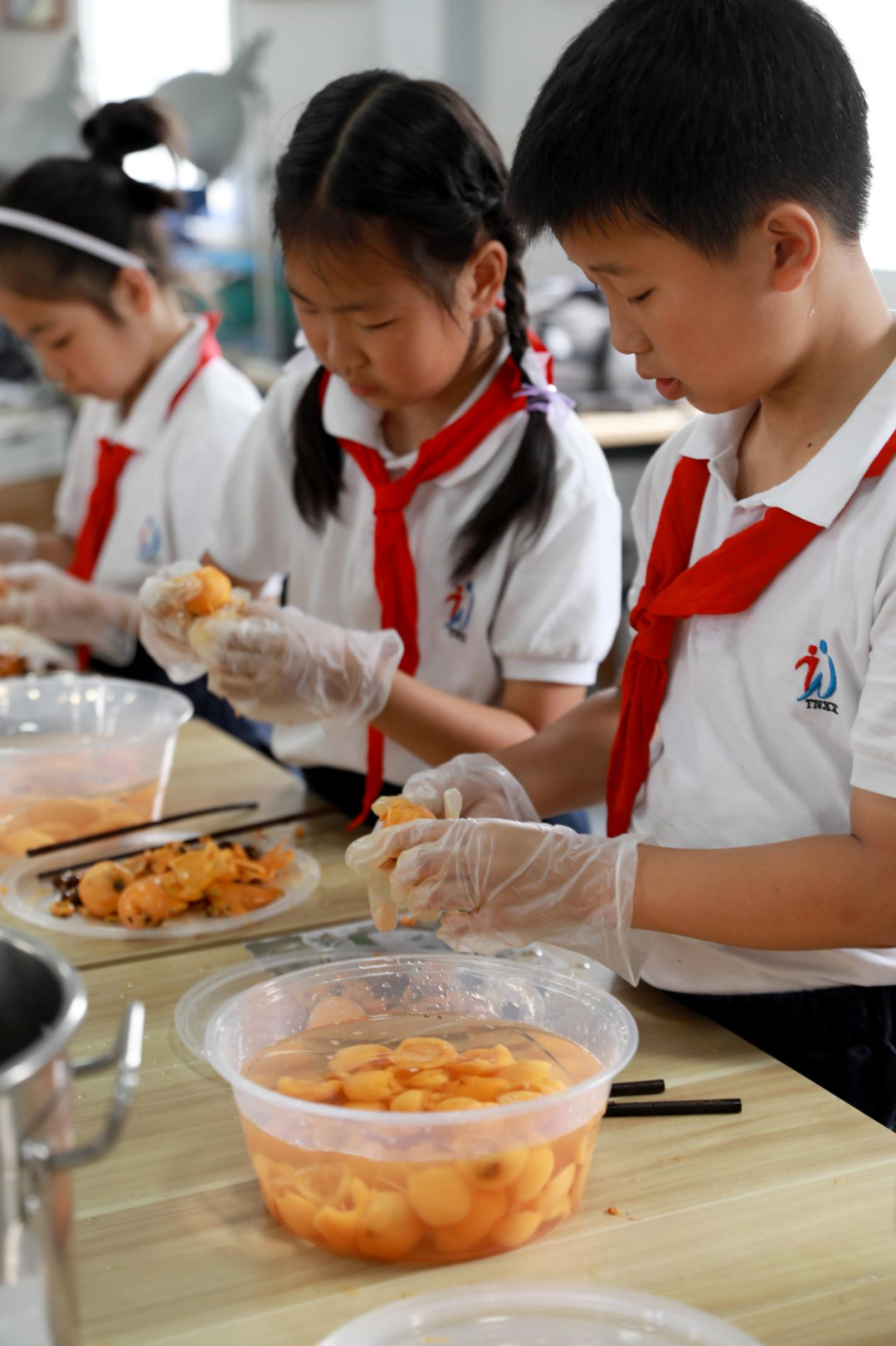 “巧手酿清甜,枇杷享清韵”——塘南小学李家桥校区枇杷节系列实践活动:枇杷罐头制作 第10张