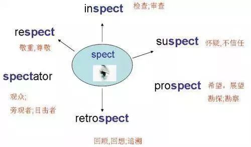 小学英语思维导图汇总,一网打尽英语单词和句型! 第37张