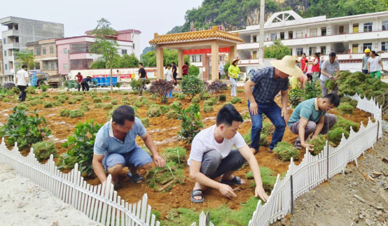 云浮地区 两村因小学旧址,多次险发生械斗... 第1张