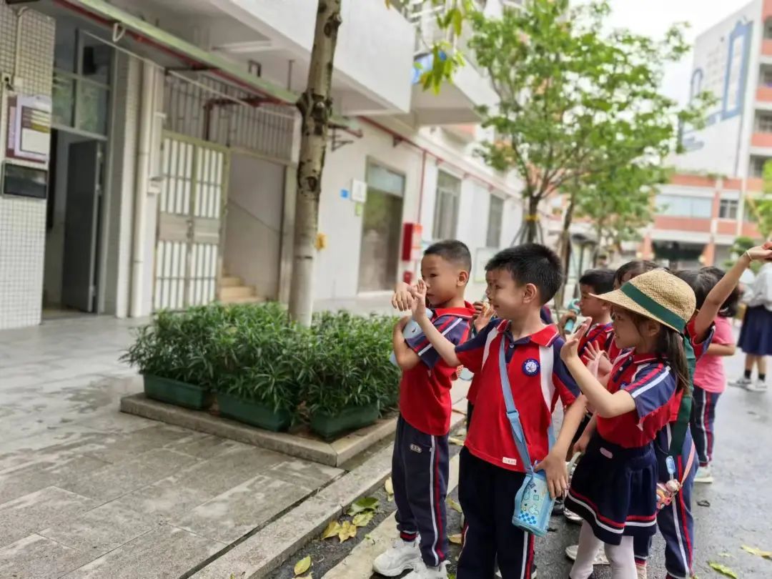 初探小学“幼”见成长——大沥佰星幼儿园走进盐步中心小学幼小衔接活动 第24张