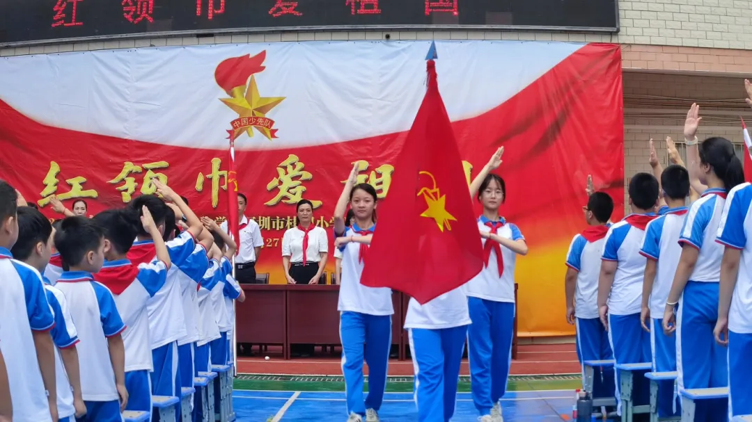 红领巾爱祖国——陆丰市东海街道中心小学、深圳市罗湖区桂园小学联合举行2024年新队员入队仪式 第87张