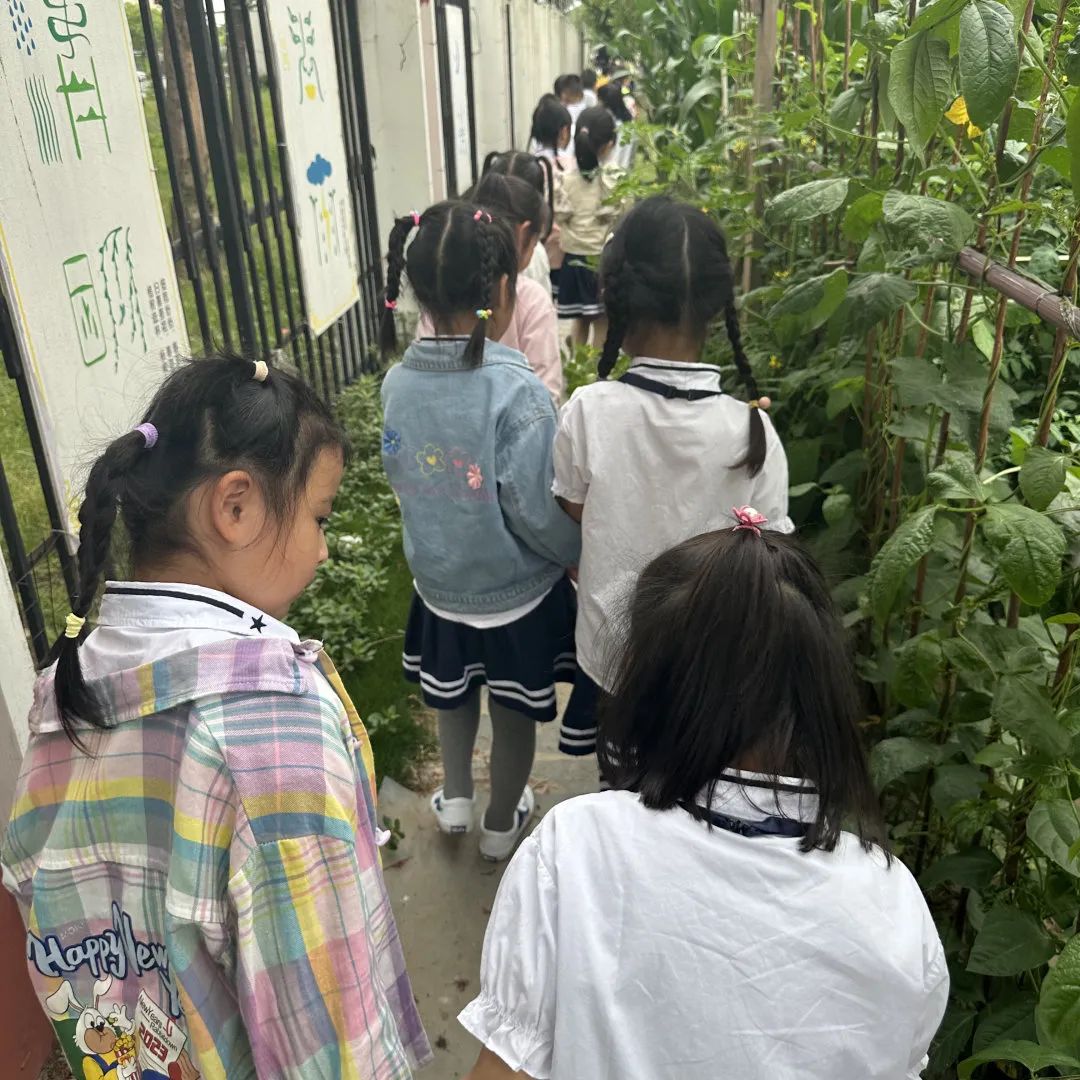 【靖海之星教育集团】【幼儿成长】走进小学,初探成长——彭镇幼儿园大班组参观小学活动 第51张