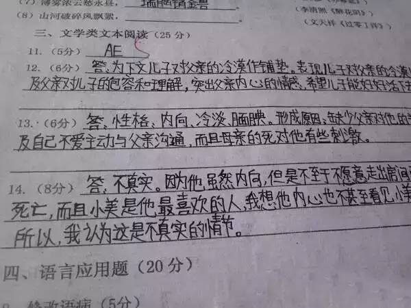 中考试卷扫描后啥样?评卷误差咋回事? 第22张