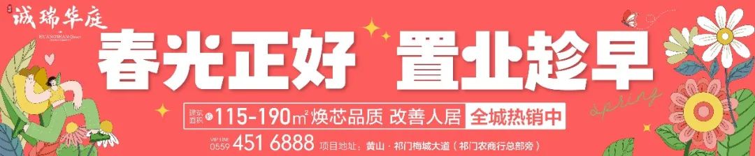 祁门县举办小学数学青年教师素养大赛 第1张