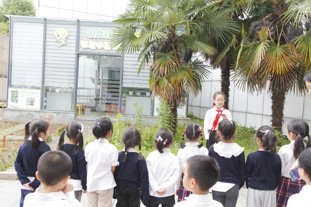 实小·共育 | “趣”见小学  “幼”见成长——平冈校区幼小衔接活动 第26张