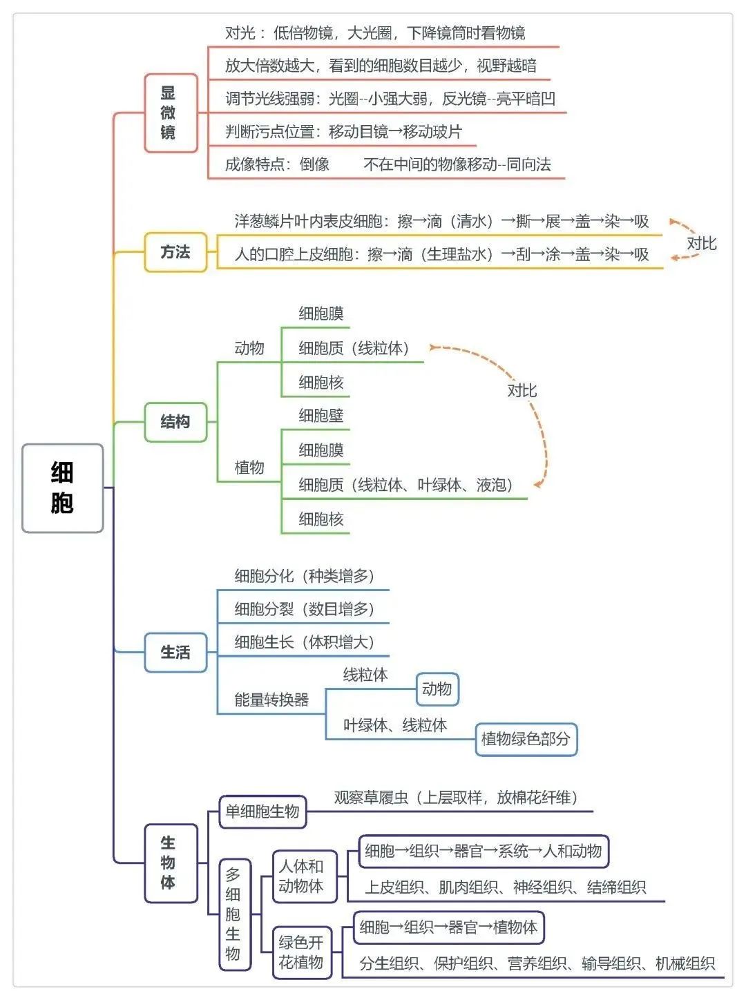 2025年中考地理、生物计入录取总分!地生如何学习考试能得高分? 第16张