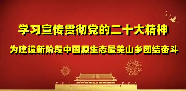 关于高中考期间禁止噪声污染的通告 第1张