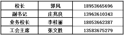 巧手绘面具 童心游园会——奎文区孙家小学举行第二十六届校园艺术节之面具秀活动 第57张