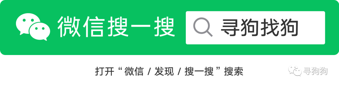 #济南寻狗# 市中区催马小学西侧约70米附近走失一只银狐,如有好心人看到或者收留请联系主人或本平台 第1张