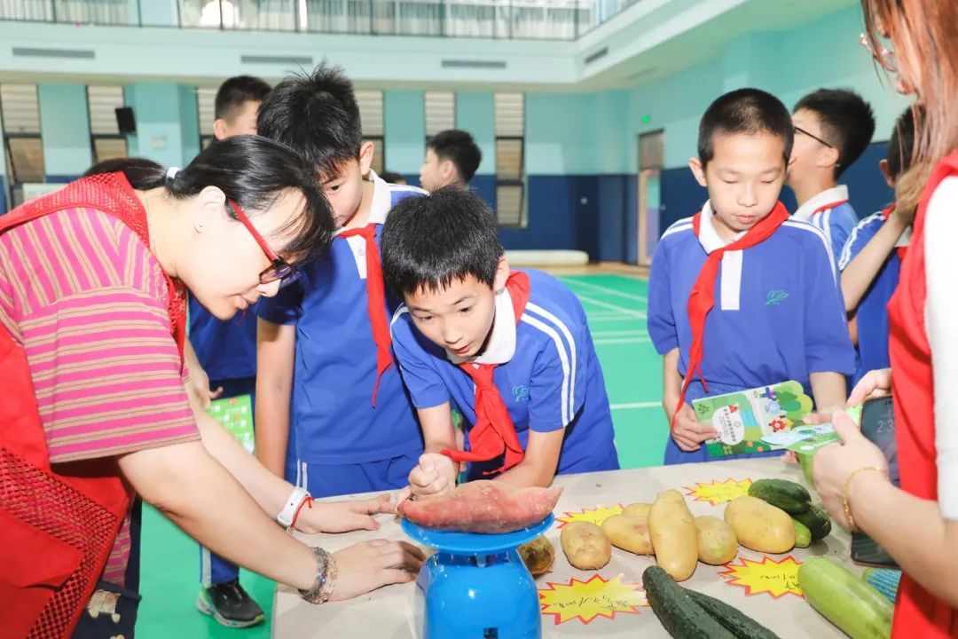 莲花山下好大一节数学课:新莲小学“空中农场的几何美学”课程长卷 第18张