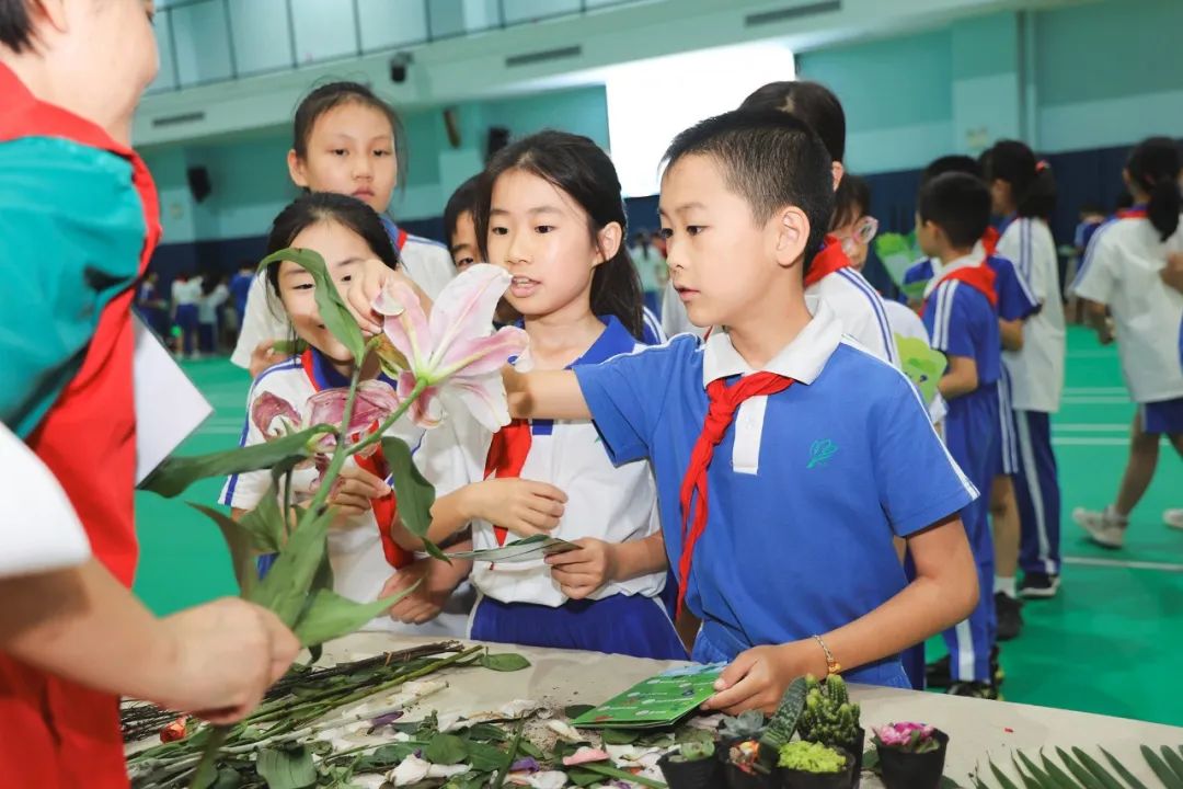 莲花山下好大一节数学课:新莲小学“空中农场的几何美学”课程长卷 第20张