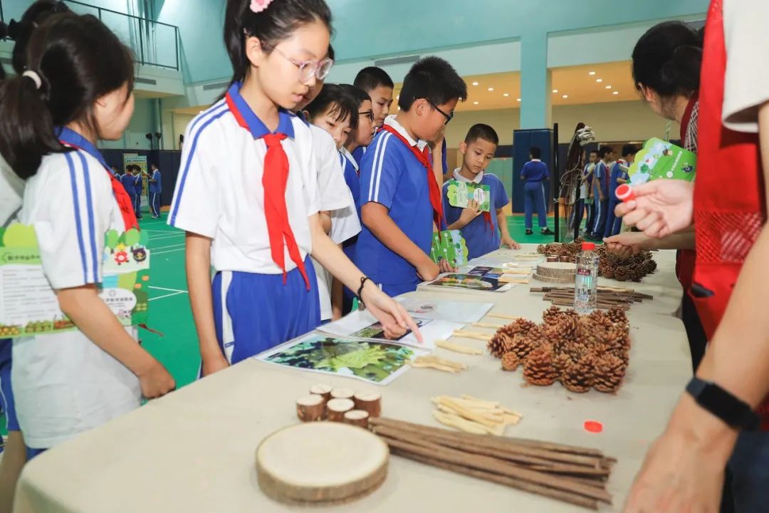 莲花山下好大一节数学课:新莲小学“空中农场的几何美学”课程长卷 第17张