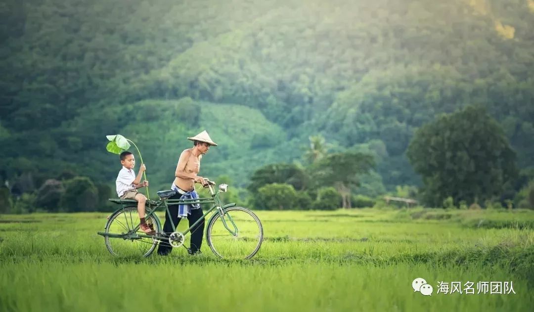 中考后才醒悟,普通校“鸡头”和重点校“凤尾”的差距太大了! 第1张