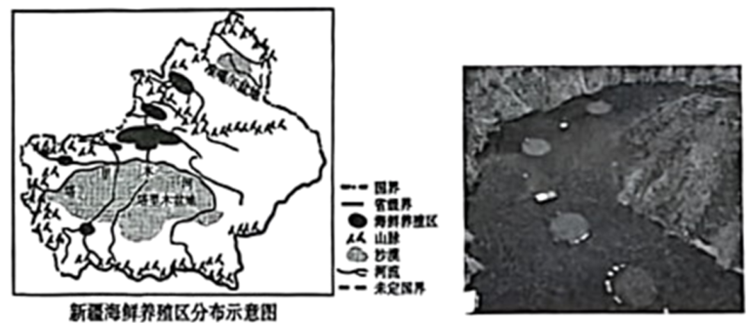 2024年山东省禹城市中考二模地理试题(原卷版) 第25张