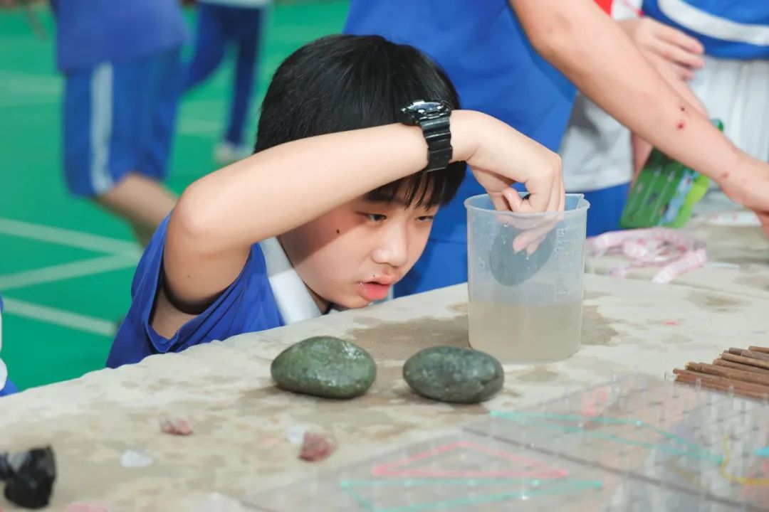 莲花山下好大一节数学课:新莲小学“空中农场的几何美学”课程长卷 第22张