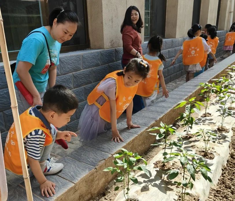 【幼小衔接】小学初体验  衔接促成长——天爱幼儿园大班组走进小学活动纪实 第48张