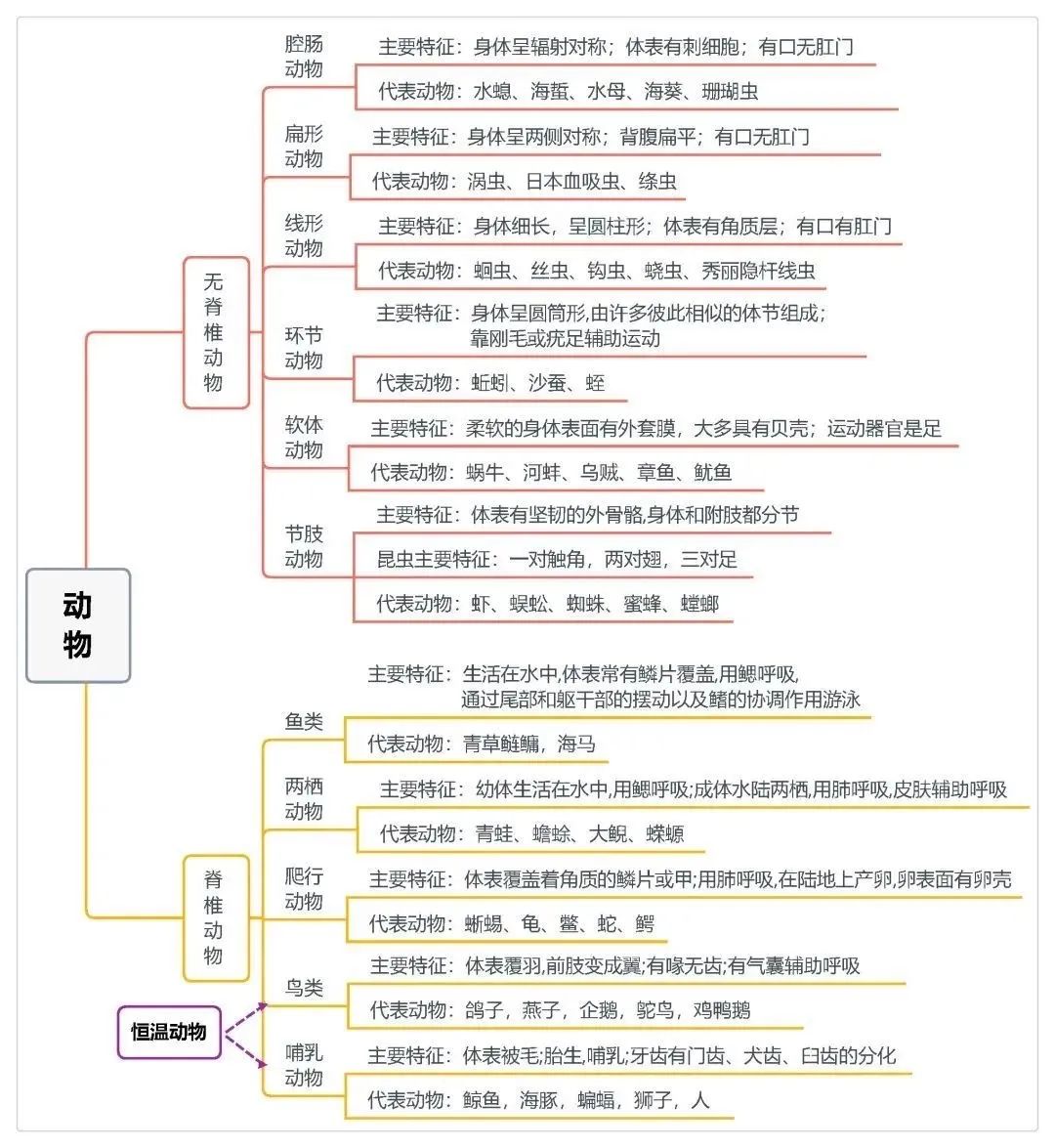 2025年中考地理、生物计入录取总分!地生如何学习考试能得高分? 第13张