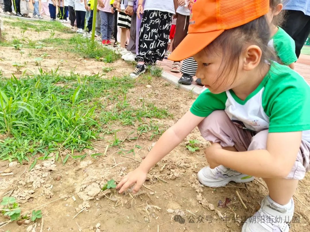 小学“慧”感知,衔接育成长——中牟县朝阳街幼儿园参观小学活动 第54张