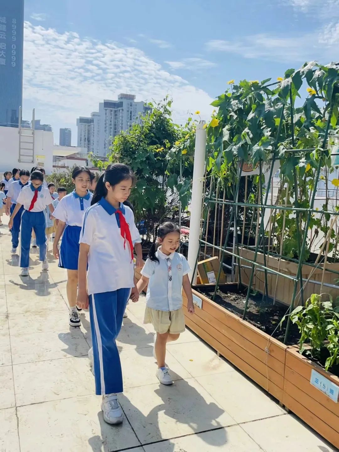 初探小学,衔接成长——杰莘幼儿园参观小学 第46张