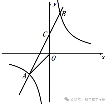 中考数学专项解题方法归纳探究--函数专项练习 第123张