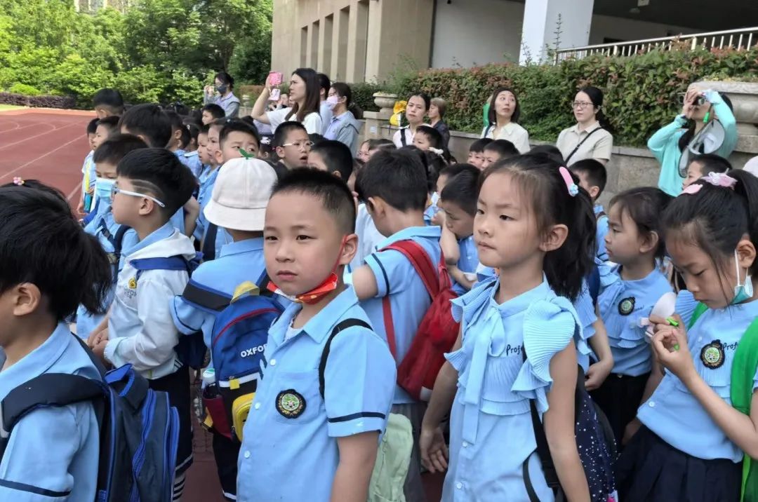 中南幼丨初探小学· “幼”见成长 第12张